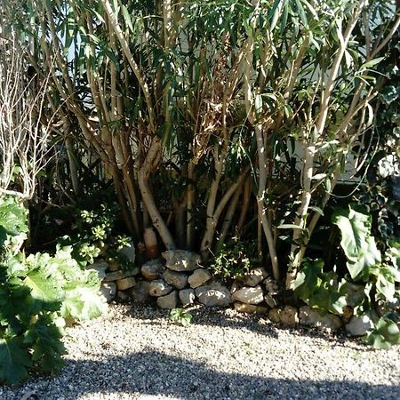 Camping Le Pavillon Sigean Bagian luar foto